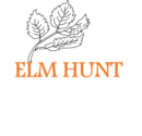Elm Hunt Executive Search logo – UAE, KSA & Europe C-suite headhunting